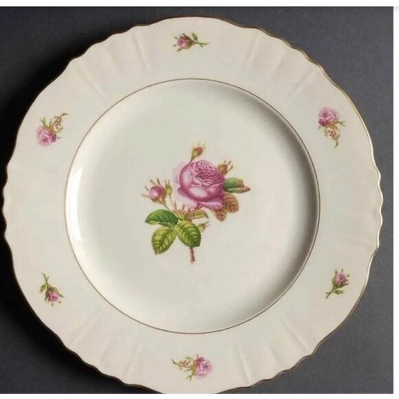 SYRACUSE CHINA VICTORIA PATTERN FEDERAL SHAPE 10" DINNER PLATE MADE IN AMERICA - Picture 2 of 4